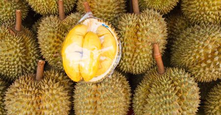 Durian (surowy lub mrożony)