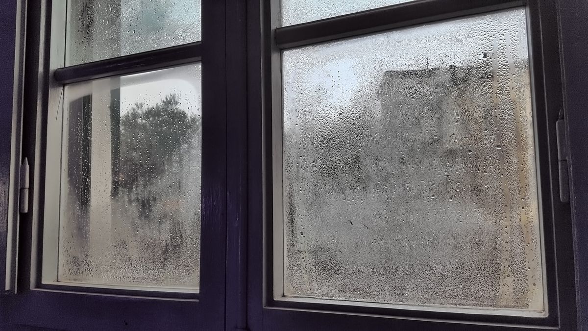 Nie każdy z nas zdaje sobie sprawę z tego, że nadmierna wilgoć na oknach to nie tylko problem natury estetycznej.