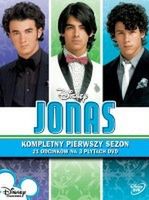 Złote Maliny dla Transformers i Jonas Brothers