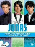 Złote Maliny dla Transformers i Jonas Brothers