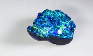 Chował go przez lata pod materacem. Był warty fortunę