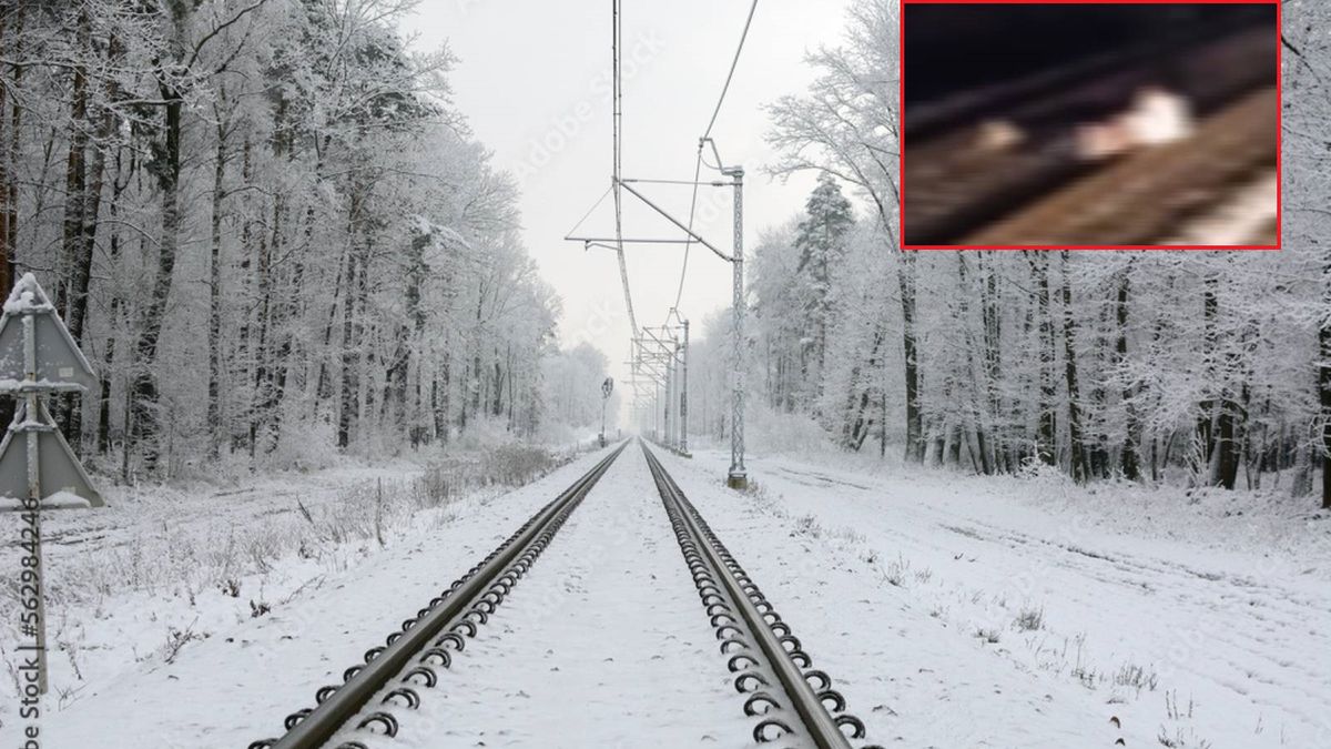 30-letni Afgańczyk dopuścił się skandalicznego wybryku na torach za Kassel