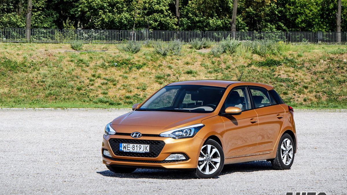 Zdjęcie ilustracyjne do artykułu