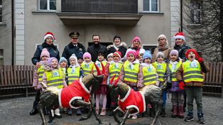 Poznańskie koziołki gotowe na zimę. Przedszkolaki ubrały rzeźbę w świąteczne stroje
