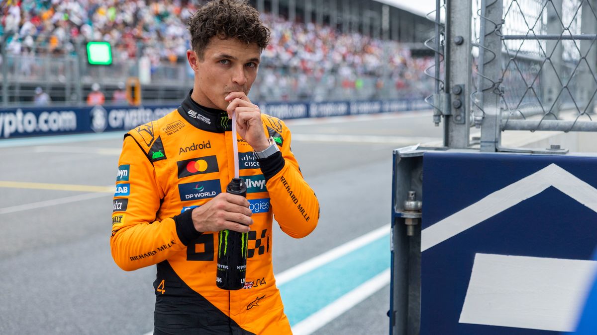 PAP/EPA / SHAWN THEW / Na zdjęciu: Lando Norris