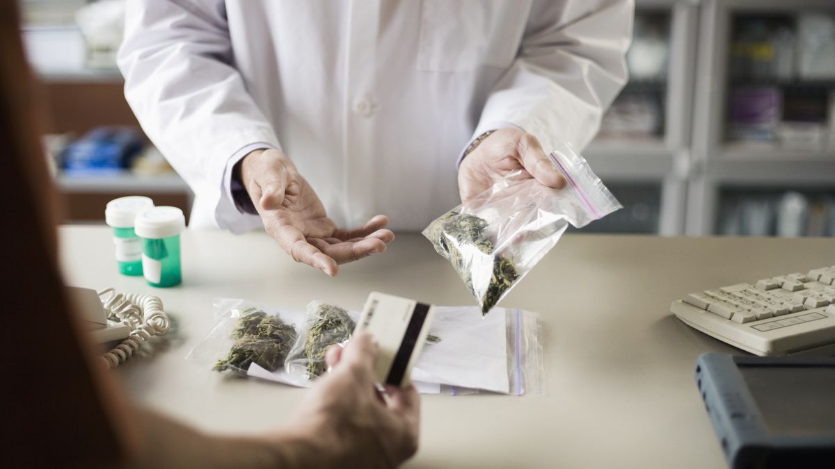 Pharmacist and customer with medical marijuana
Jupiterimages
adults, bags, caucasian, cannabis, career, charging, controlled substance, controversial, copy space, counter, credit card, cropped, day, drugs, explaining, glaucoma, half-length, healthcare, identification, indoor, job, lab coat, license, marijuana, medical, medicine, men, occupation, paying, pharmacist, pharmacy, profession, registered, regulated, treatment, two people, working