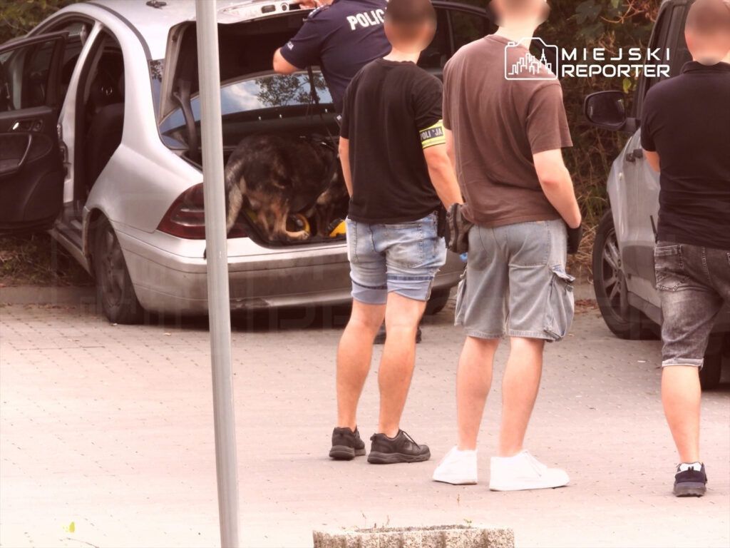 Grupa mężczyzn obserwująca policjanta z psem, który przeszukuje bagażnik samochodu na parkingu.