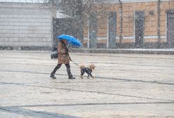 Nawet -18 st. C w Alpach. Ekstremalne mrozy w Europie