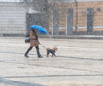 Nawet -18 st. C w Alpach. Ekstremalne mrozy w Europie