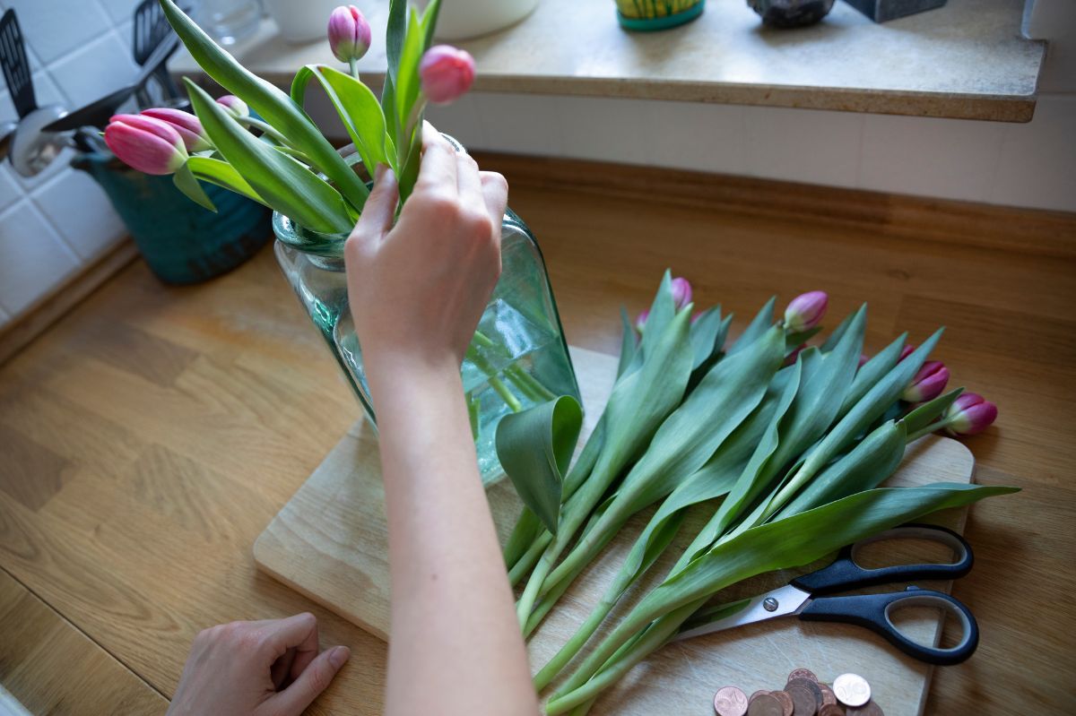 This is how you can prolong the freshness of cut flowers.