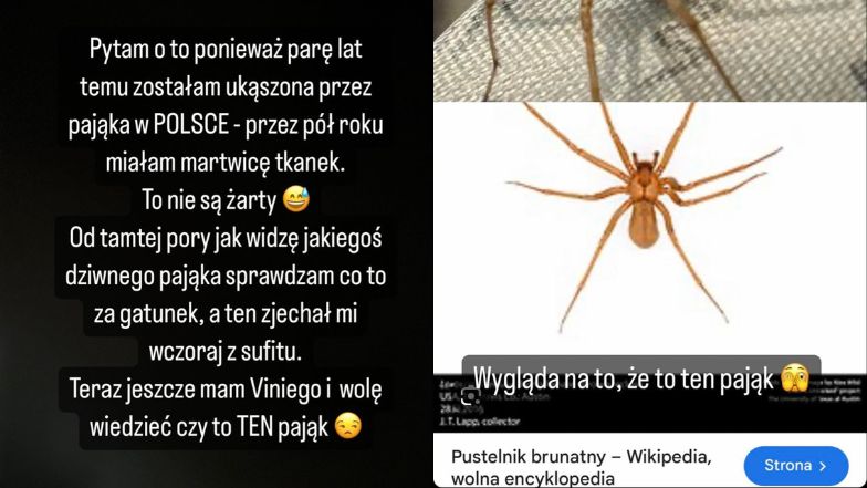 Joanna Opozda przerażona obecnością groźnego pająka w domu 