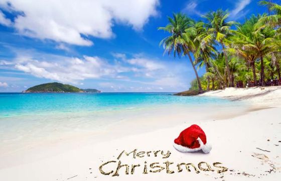 Plaża pod palmami zamiast tradycyjnych świąt z choinką