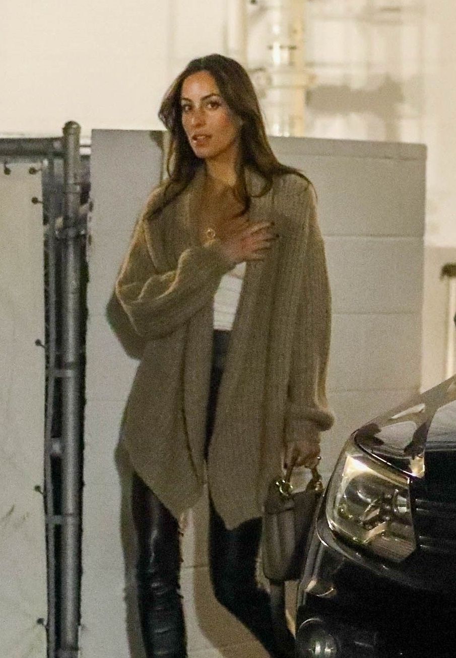 Brad Pitt na randce z młodszą o 27 lat Ines de Ramon