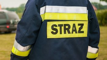 Głogowianka chciała zwalczyć owady domestosem. Interweniowała straż