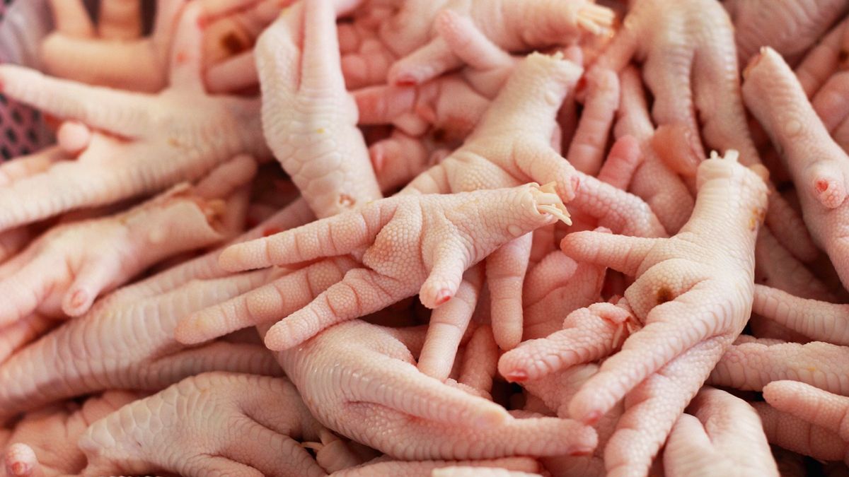 Jedz kurze łapki regularnie. Twoja skóra będzie piękna jak po wyjściu od kosmetyczki