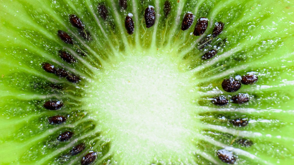 Jedzenie kiwi ze skórką – korzyści dla jelit i odporności