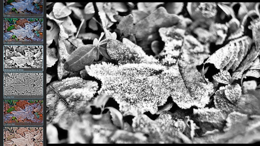 HDRtist NX 4