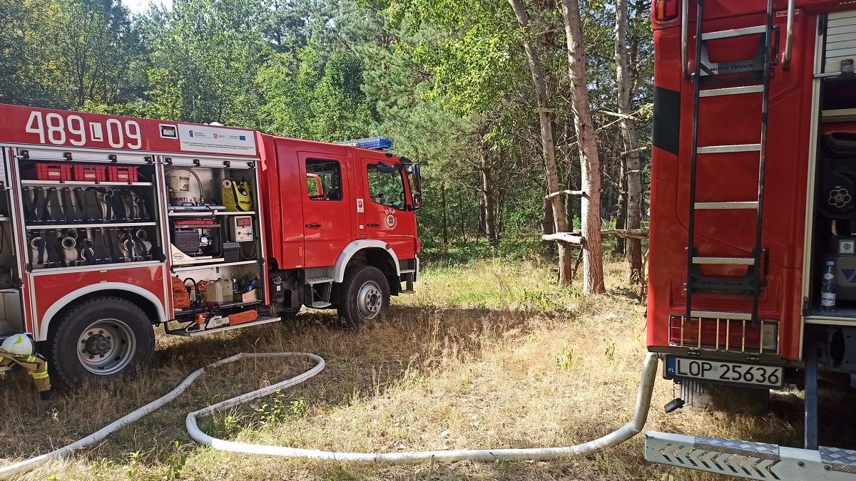 Wozy strażackie gaszące pożar w Emilcinie