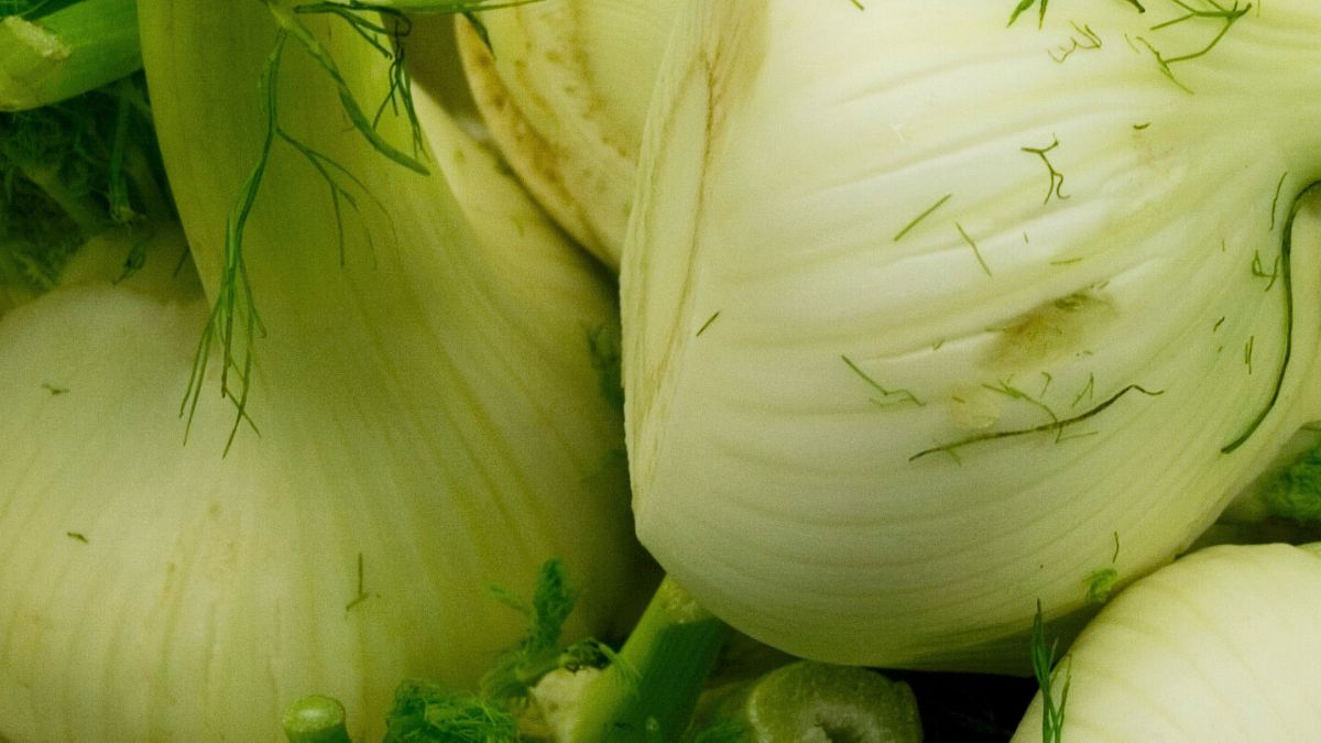 Fenkuł w diecie na przeziębienia. Dlaczego warto?