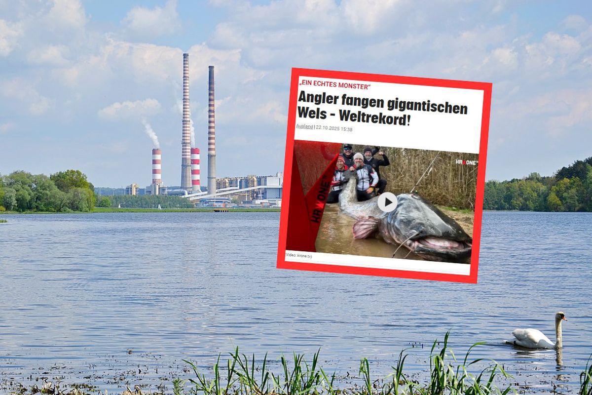 Niemcy piszą o rekordzie Polaków. "To prawdziwy potwór!"