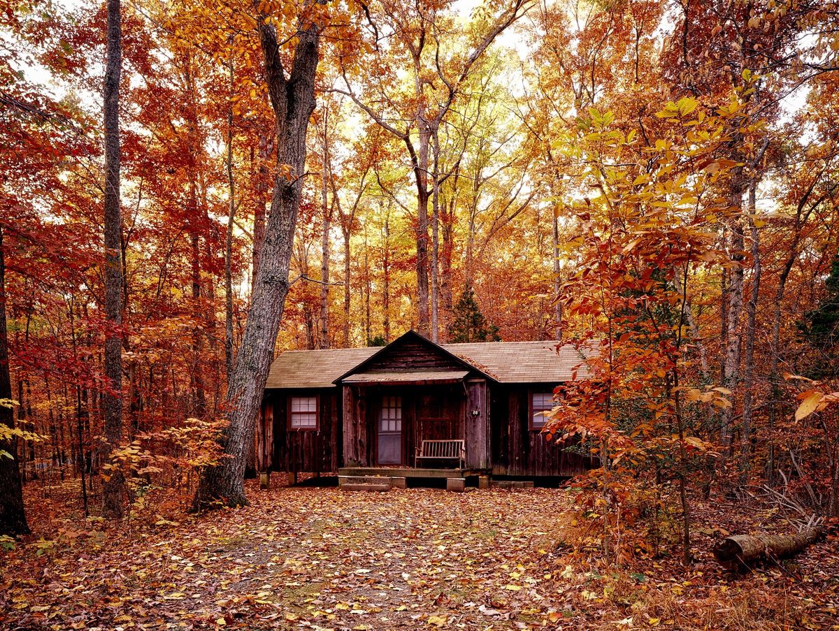 Dom w lesie, zdjęcie ilustracyjne