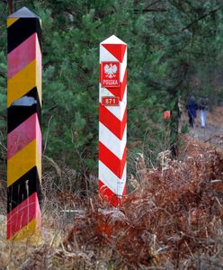 Niemcy stawiają ogrodzenie na granicy z Polską. Strach przed wirusem ASF
