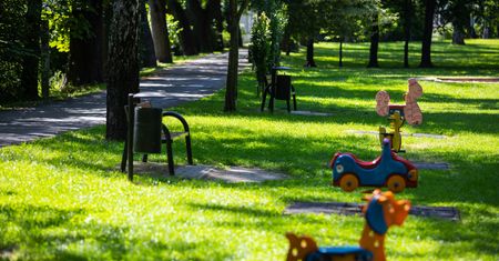 Bielsko-Biała. Miejskie parki przejdą modernizację. Projektanci mają zadbać o drzewa