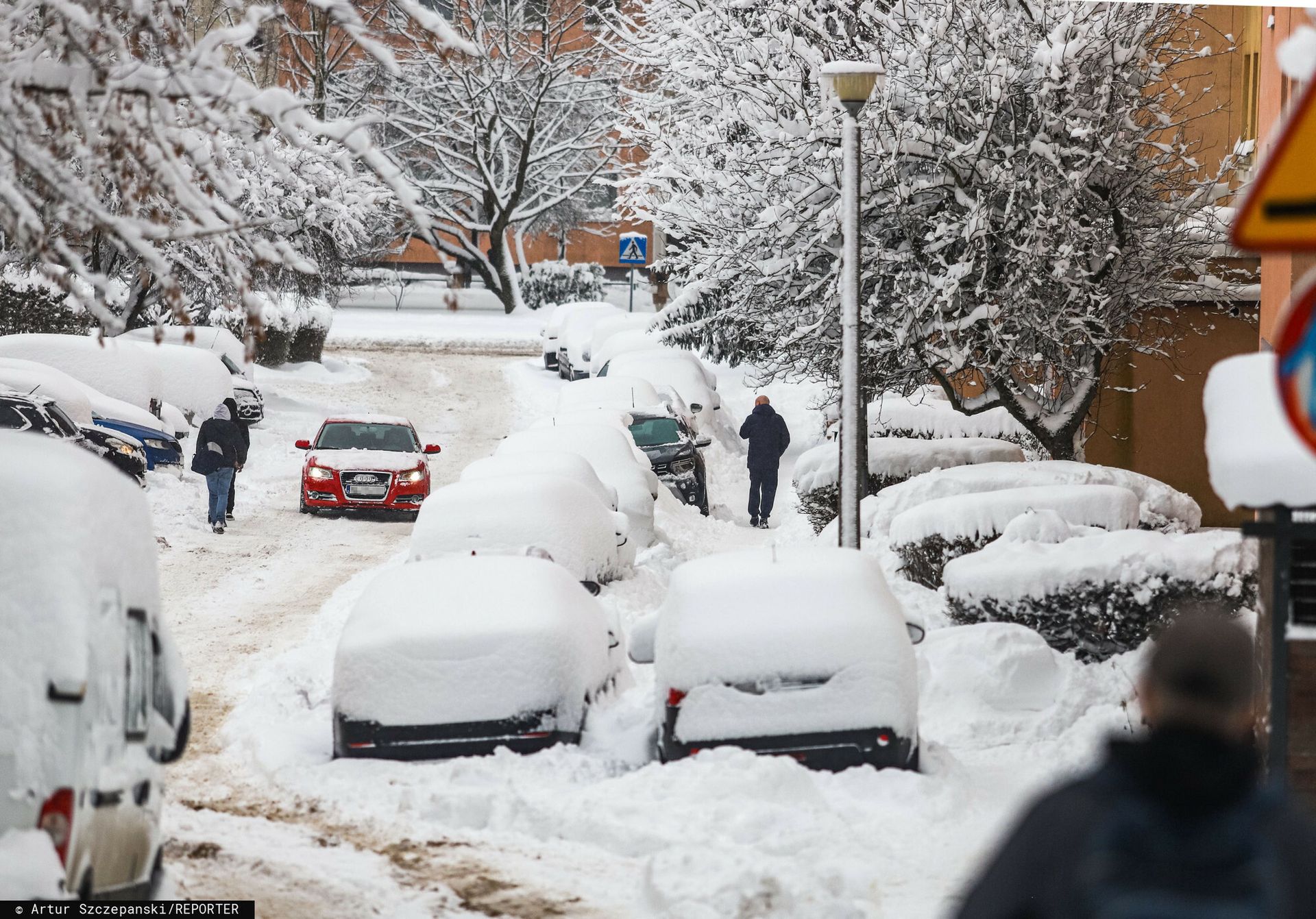 wiadomości,aktualności,WP Wiadomości Atak zimy. W niektórych szkołach odwołano zajęcia