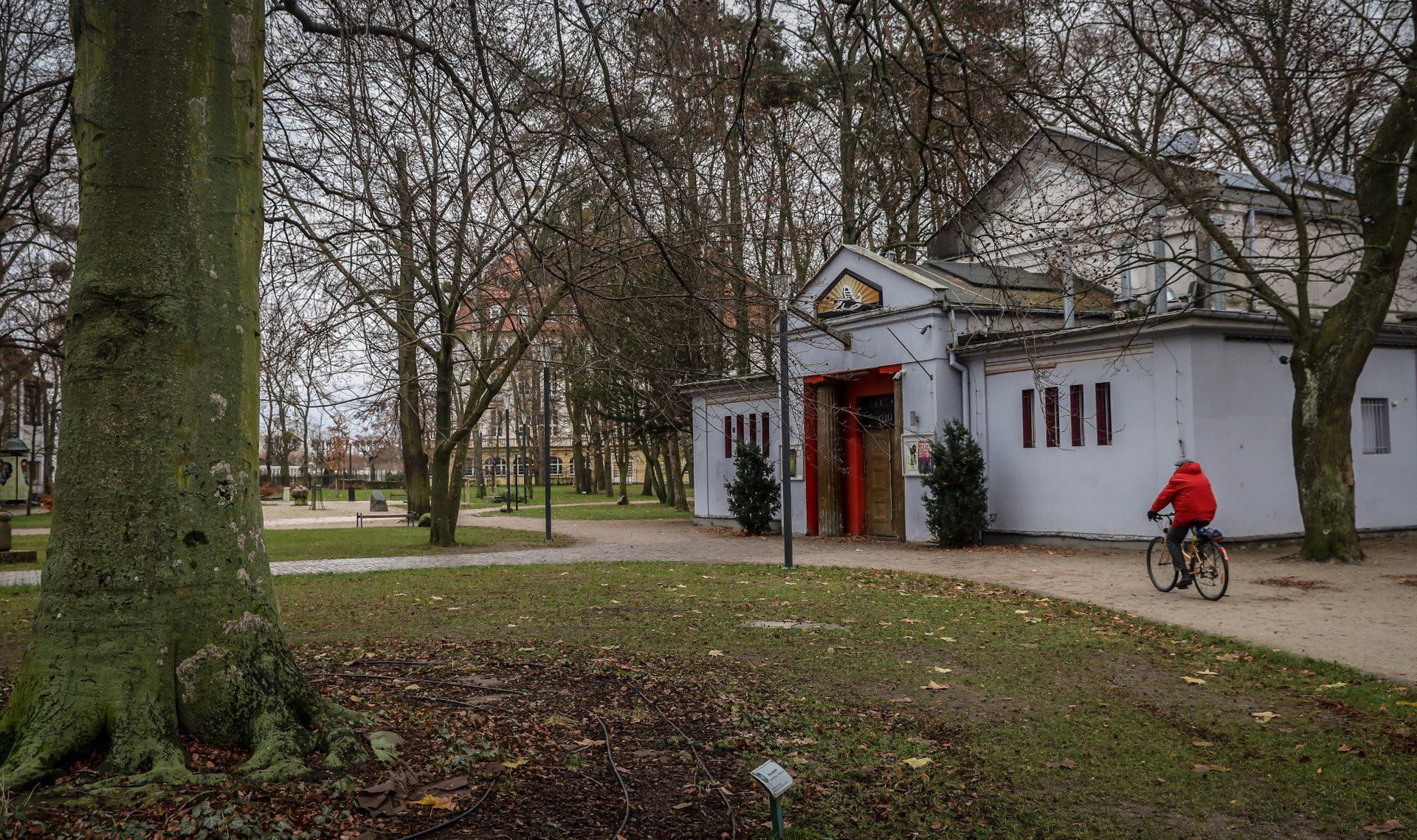 Legendarny Sfinks700 w Sopocie. Historia, anegdoty i archiwalne zdjęcia kultowego klubu
