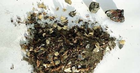 Leży na ziemi, może być fortuną. Gram wart nawet 20 tys. zł