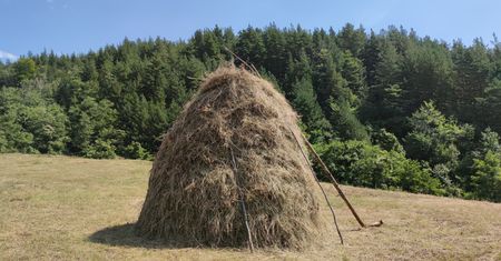 Krzyżówka językowa dla obeznanych. Ile haseł odkryjesz?