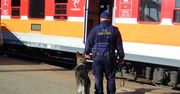Lubelskie: Straż Ochrony Kolei zapewni bezpieczne przejazdy na Sylwestra