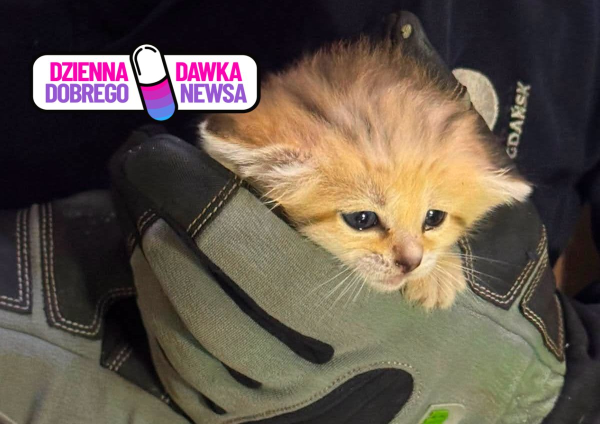 Podwójna radość w gdańskim zoo. Ważą ponad 300 gramów