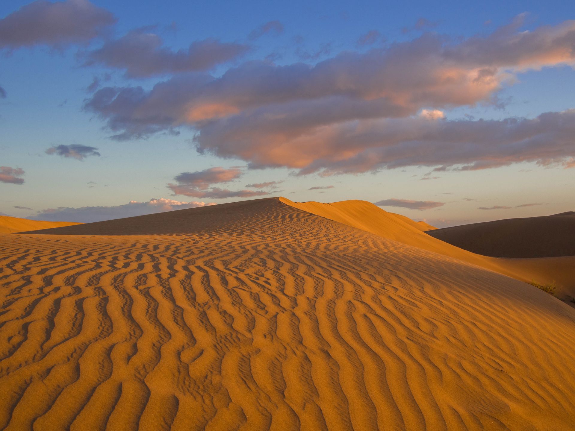 Dunas de Maspalomas 