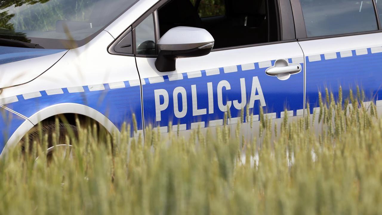 Hitlerowskie zdjęcia w miejscu kapliczki. Policja prosi o pomoc