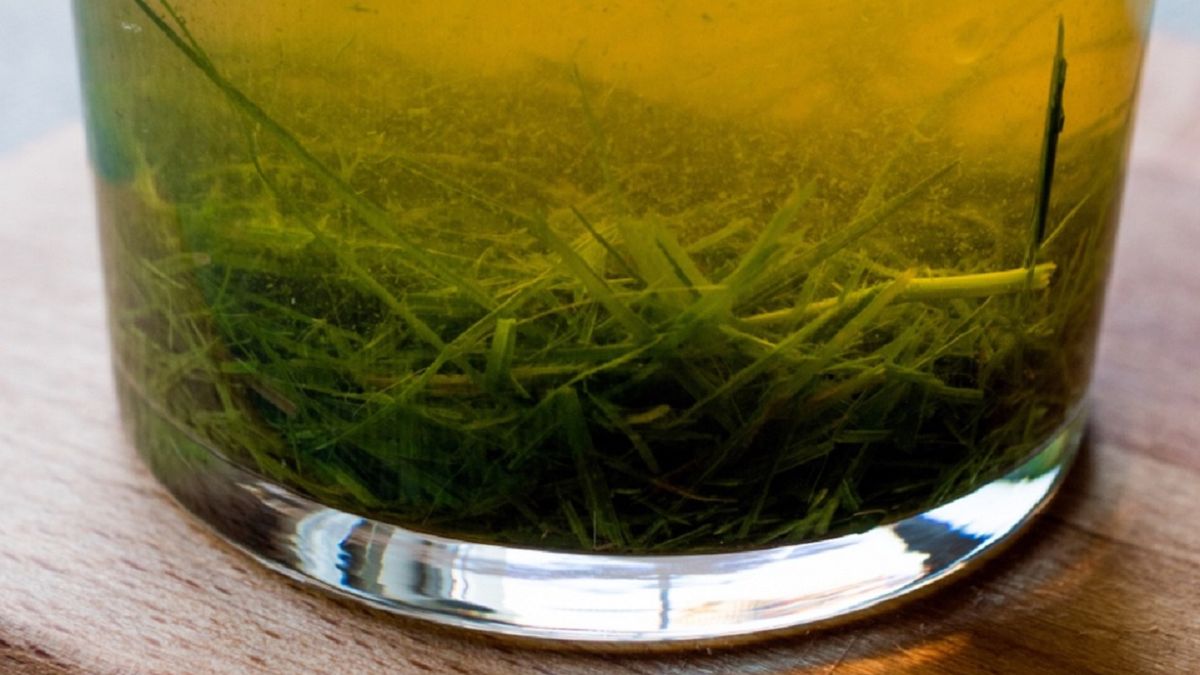 Mikstura, która zmniejsza ryzyko miażdżycy