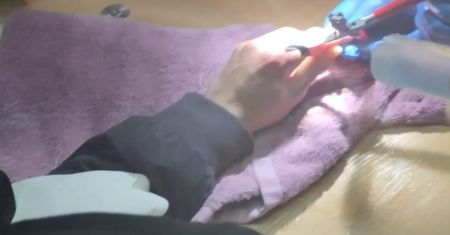 Nietypowa akcja strażaków. Musieli działać z chirurgiczną precyzją