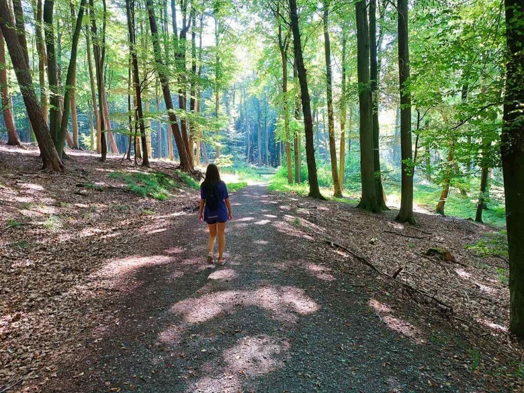  Park Jasmund - Rugia