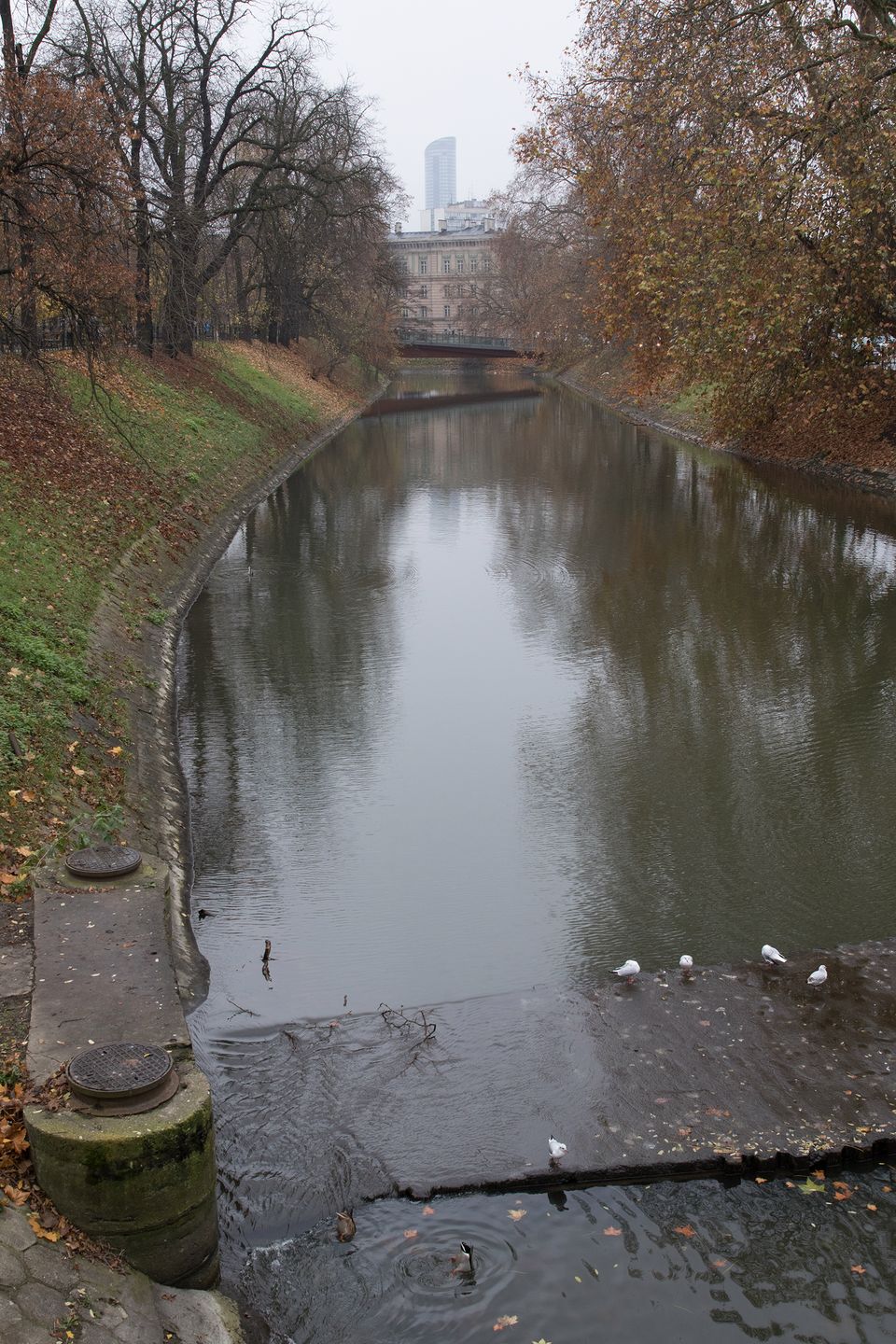 Canon EOS 7D Mark II - szybki, wytrzymały i bez konkurencji [test] 146