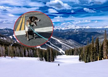 Uciekł w góry. Kiedy wszyscy tracili nadzieję, stał się cud