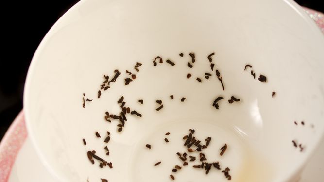 Tekst Czytelnika: Smartfonowy rok 2019 wywróżony z fusów 1