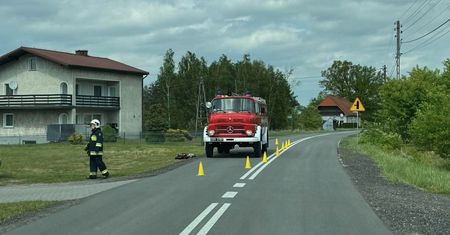 Turza: 34-latka zginęła po ataku byka w zagrodzie