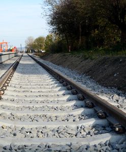 Dolny Śląsk. Po niemal 30 latach wróci ważne połączenie kolejowe. Koszt inwestycji to 50 mln zł