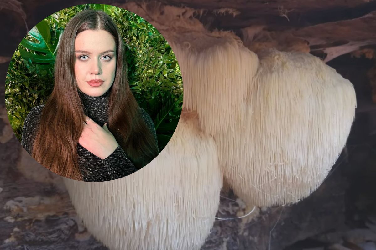 TikTokerka Paulina Kozioł zjadła tego grzyba. Teraz żałuje.  Fot.Instagram/Paulina Kozioł, YouTube
