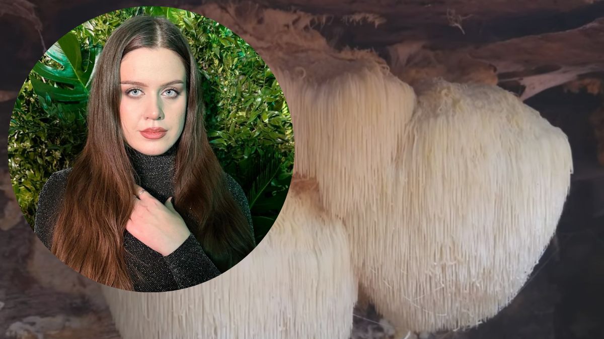 TikTokerka Paulina Kozioł zjadła tego grzyba. Teraz żałuje.  Fot.Instagram/Paulina Kozioł, YouTube