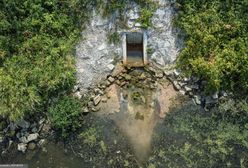 Niemcy są przerażeni. "To po prostu katastrofa"