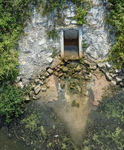 Niemcy są przerażeni. "To po prostu katastrofa"