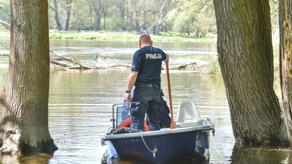 Poszukiwania zaginionych nastolatkow w Lubuskiem
Fot. NewsLubuski/East News, Ledno, 11.05.2021. Poszukiwania dwoch chlopcow w wieku 13 i 15 lat w miejscowosci Ledno kolo Sulechowa i okolicach rzeki Odra. W akcji udzial bierze okolo 200 strazakow i policjantow.
NewsLubuski