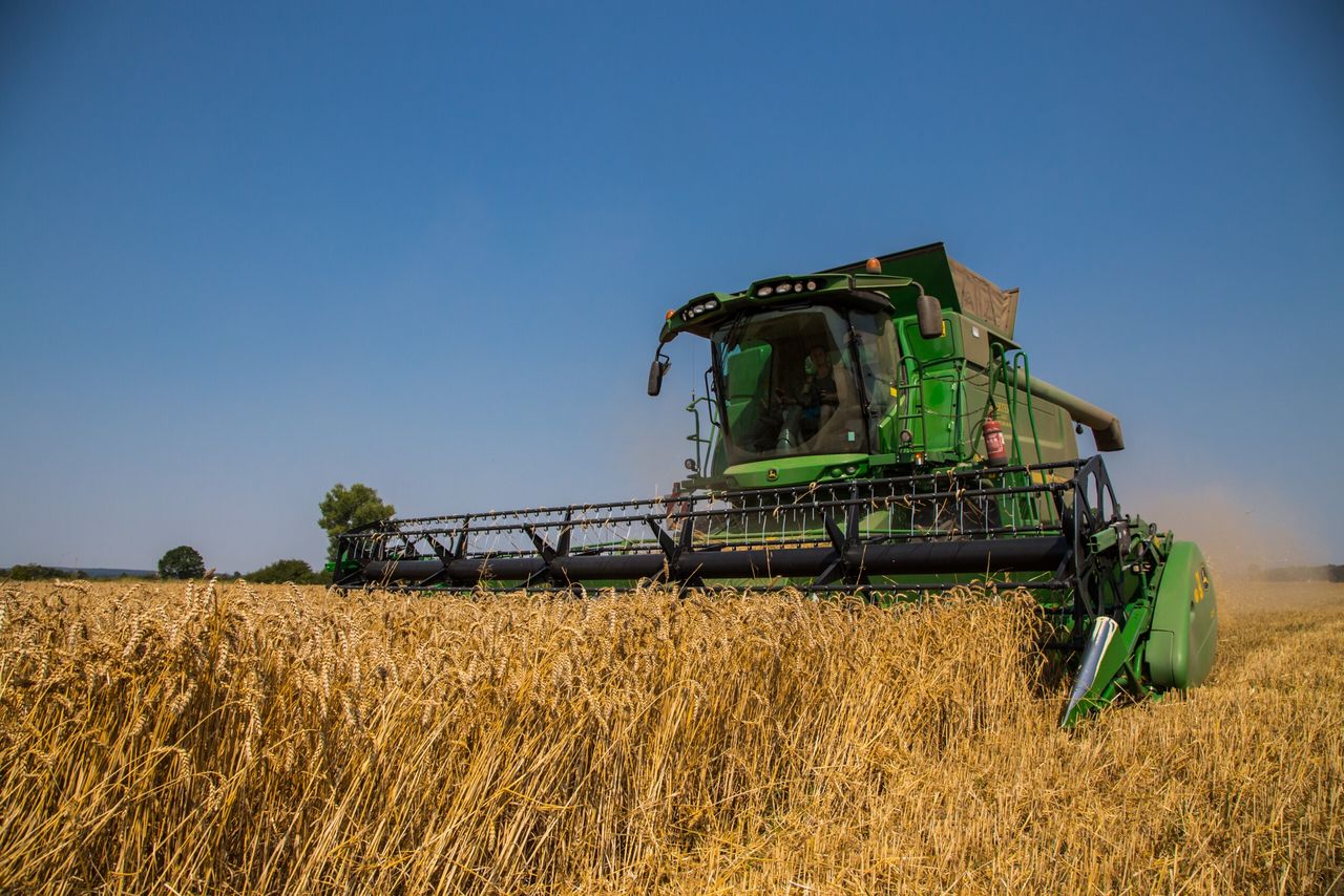 Niskie ceny zbóż dobijają rolników. Izby żądają działań