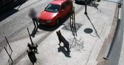 ​Pies zaatakował troje przechodniów. Wśród nich 8-letnie dziecko